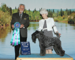 Judge Huston Clark awarded CH Stirling O'Hanluan RESERVE BEST IN SHOW at the Tanana Valley Kennel Club All-Breed Dog Show in Fairbanks, Alaska on May 24, 2015.