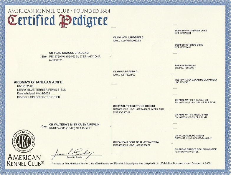Aoife's AKC Certified Pedigree